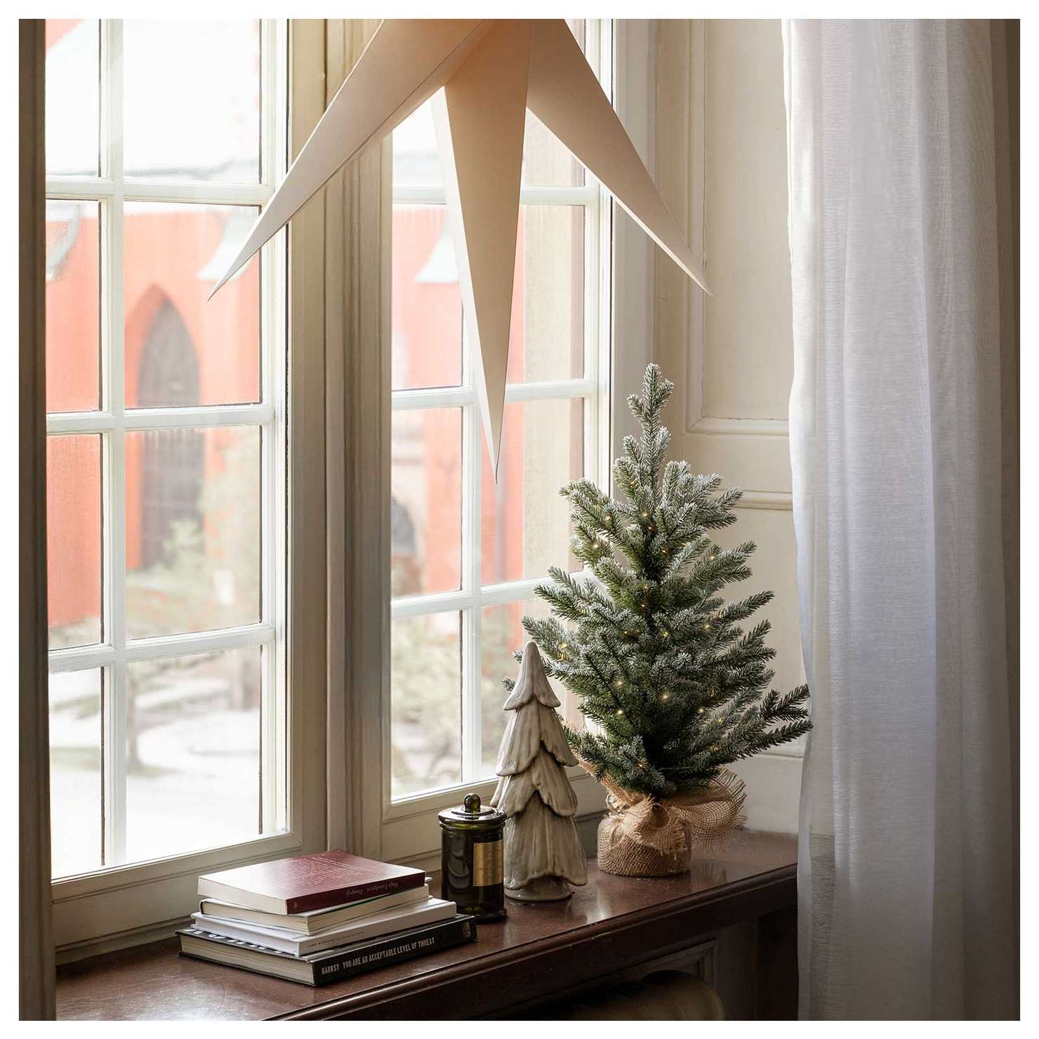 Weihnachtsbaumratgeber