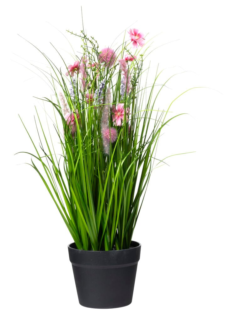Topfpflanze Gras mit gemischten Blumen