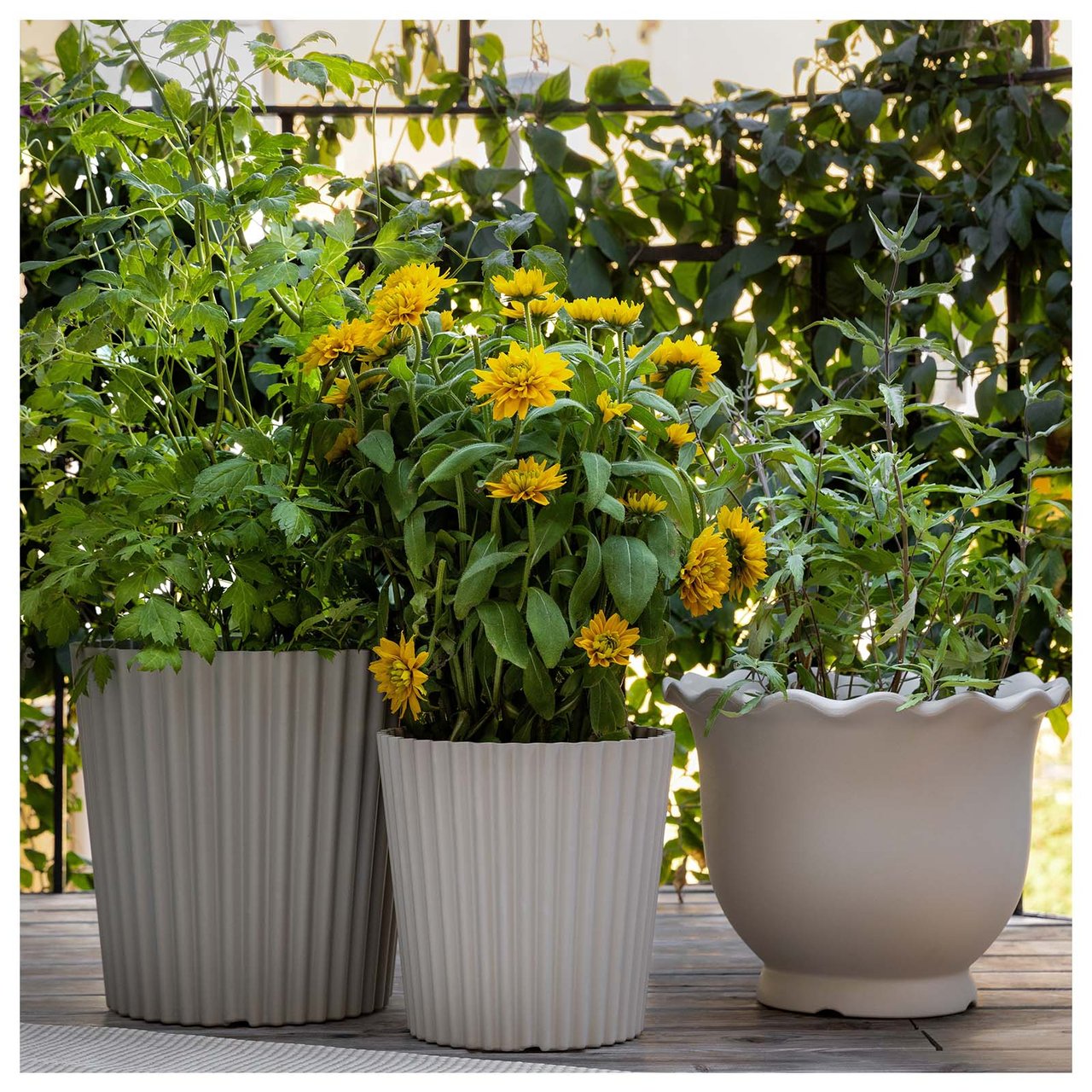 Potter med grønne planter og gule blomster på en balkong.