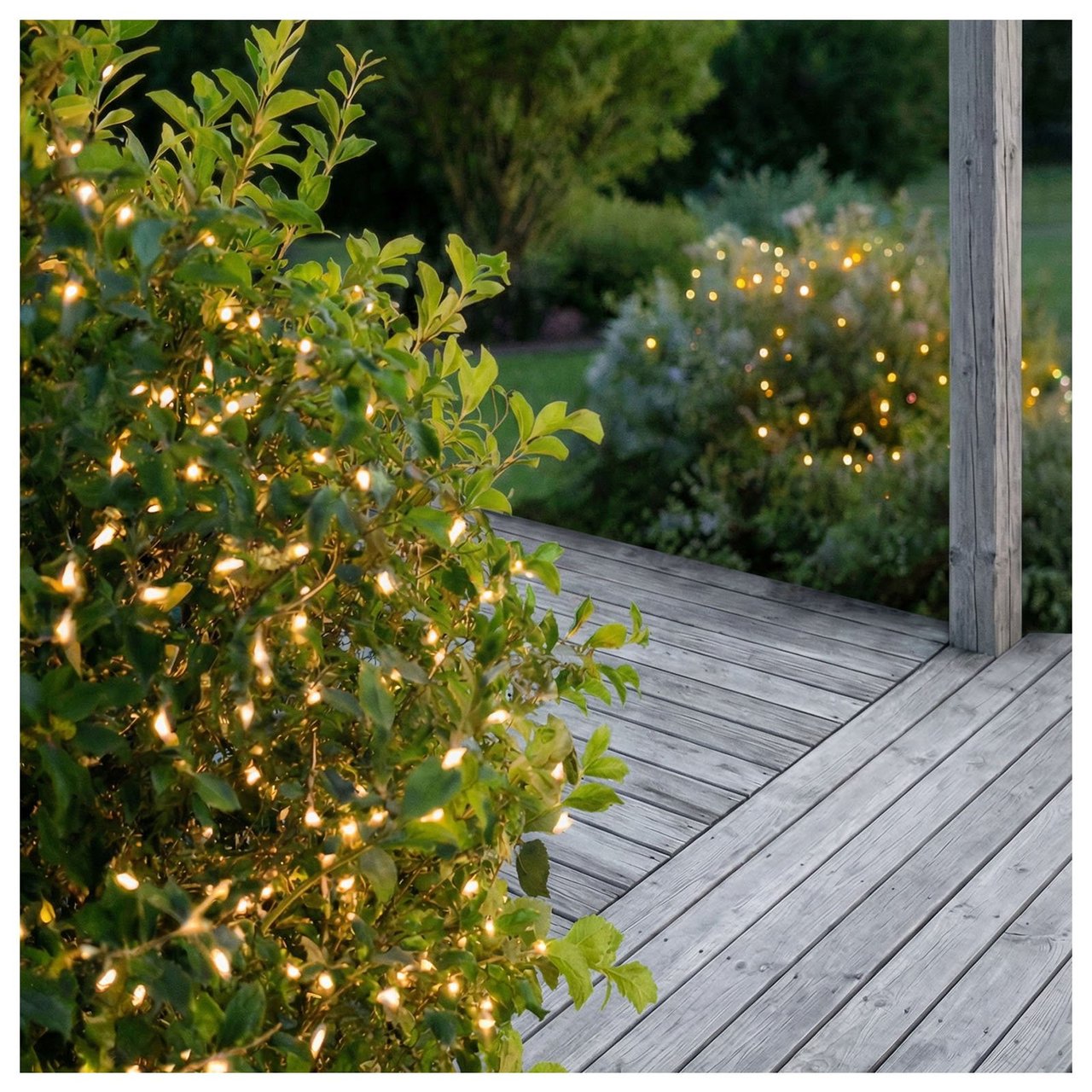 Busk med tynn lysslynge med mange små lysende pærer.