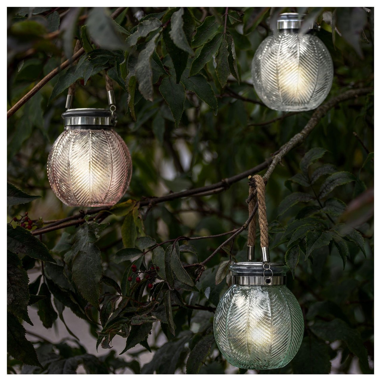 Svagt tonade solcellslyktor i glas hänger i ett träd.