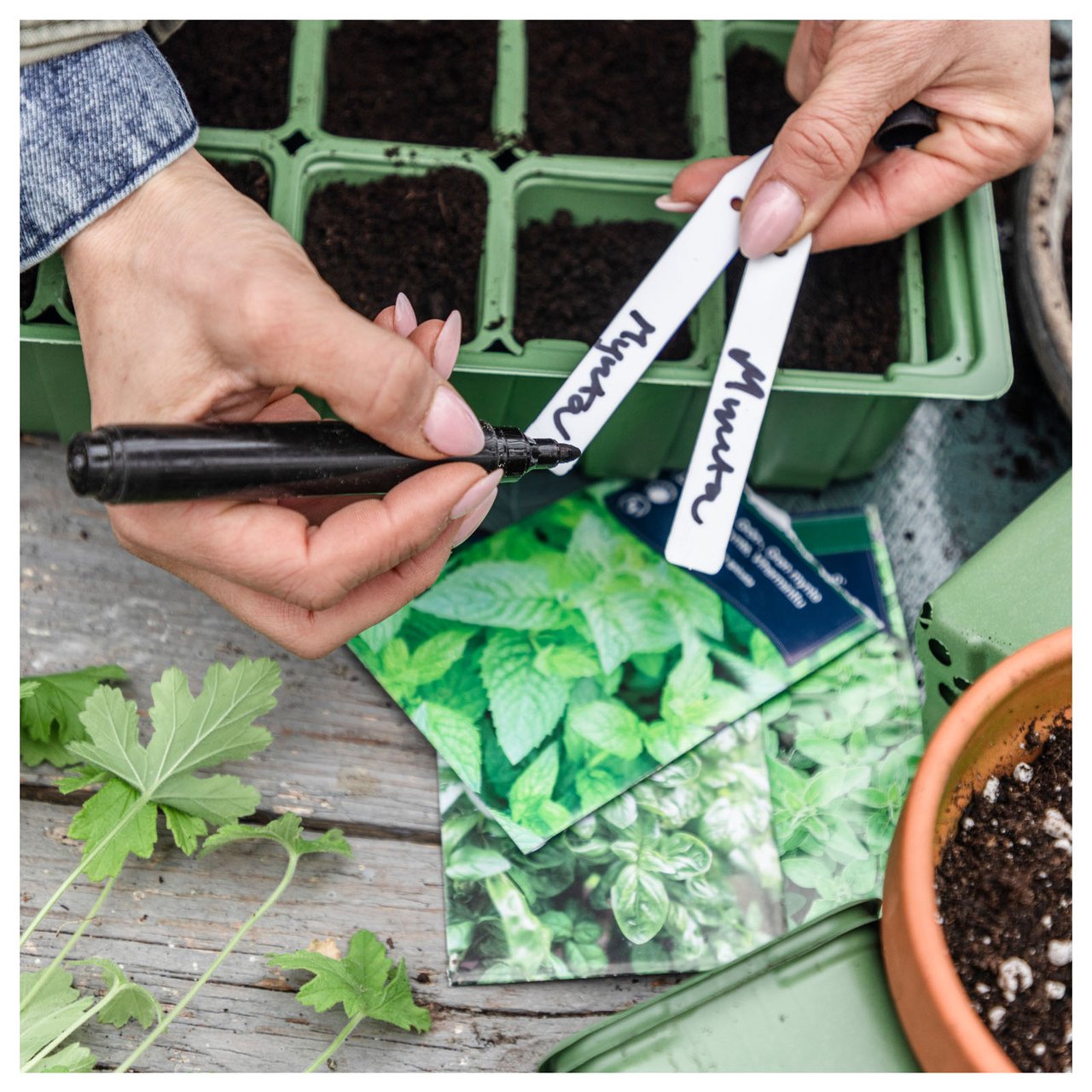 Nærbilde av frøposer og plastetiketter med navn på forskjellige frø.