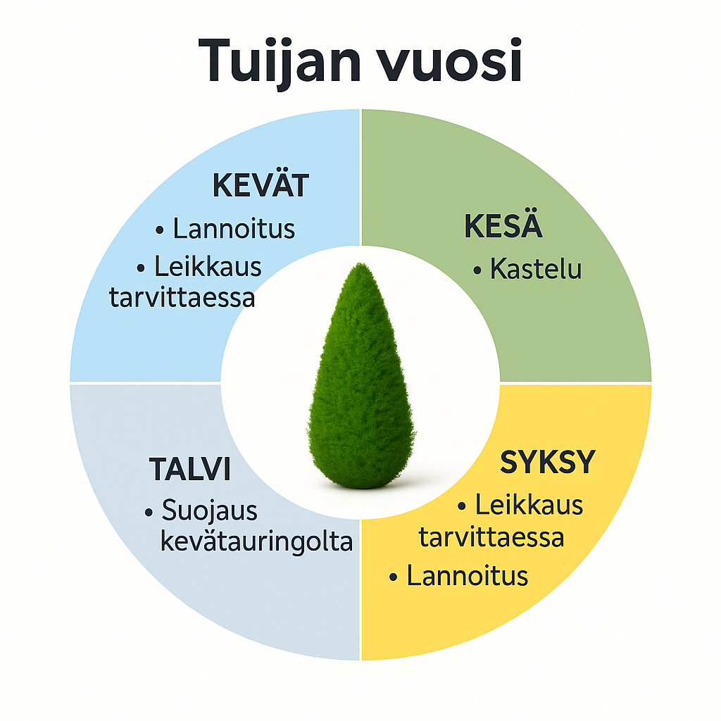 Tuijan vuosi