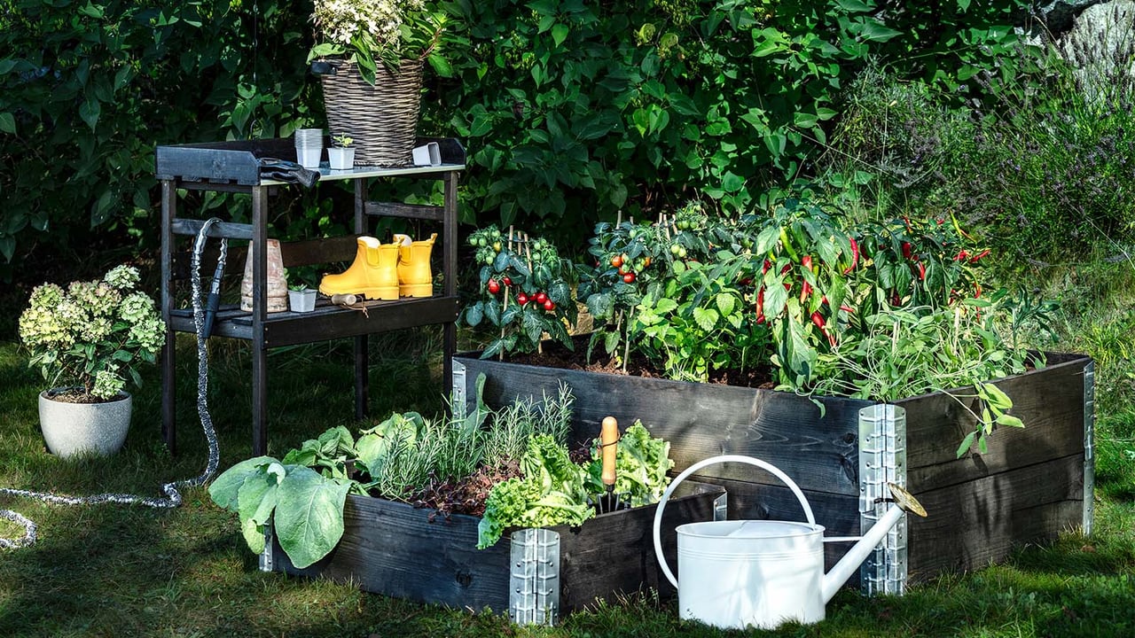 Pallekarmer med tomatbusker, chiliplanter og urter.