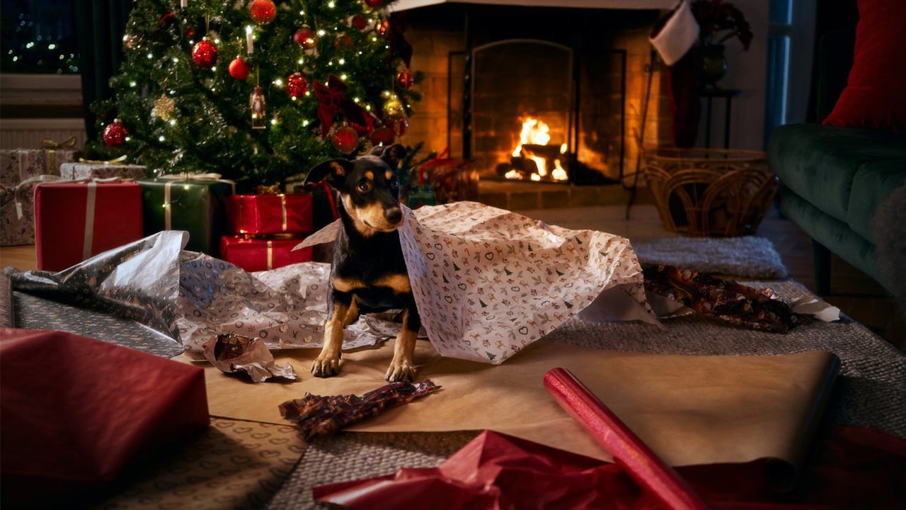 Hund bland uppslitet julklappspapper framför julgran, omgiven av inslagna paket i ett julpyntat vardagsrum.