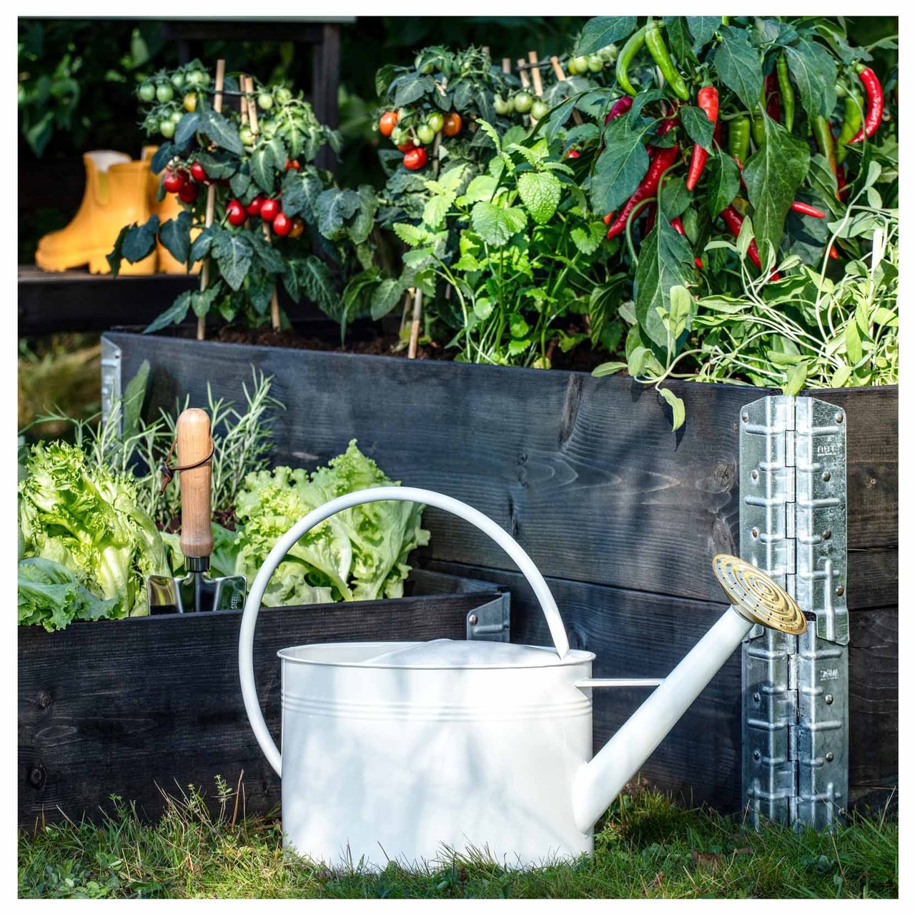 Svarte pallekarmer med chili, tomat og salat.