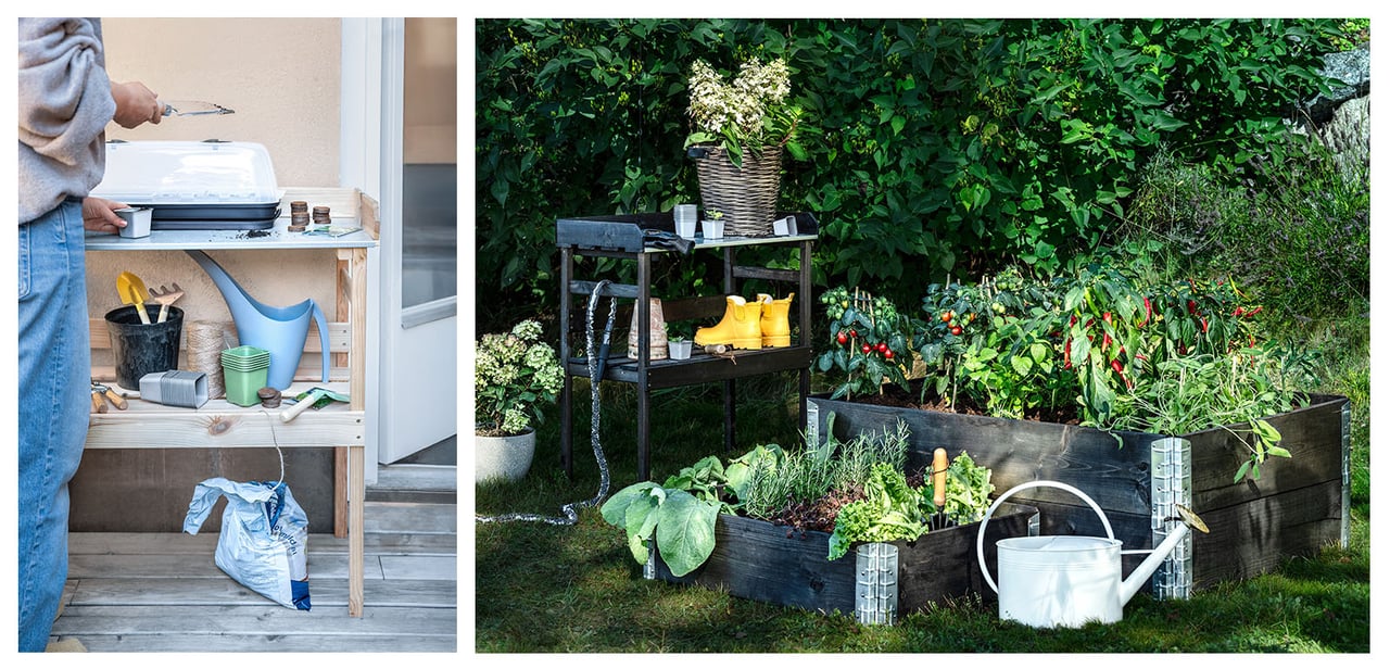 Plantebord med minidrivhus, vannkanne m.m. Pallekarmer med tomatbusker, chiliplanter og urter.
