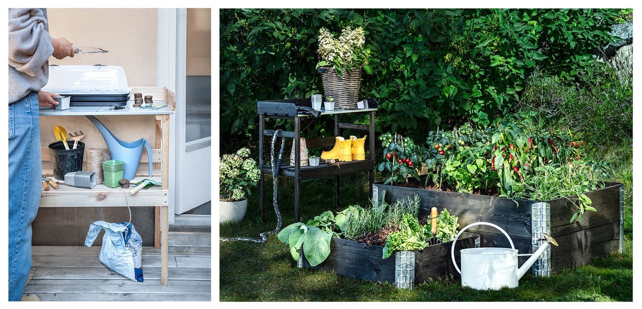 Plantebord med minidrivhus, vannkanne m.m. Pallekarmer med tomatbusker, chiliplanter og urter.