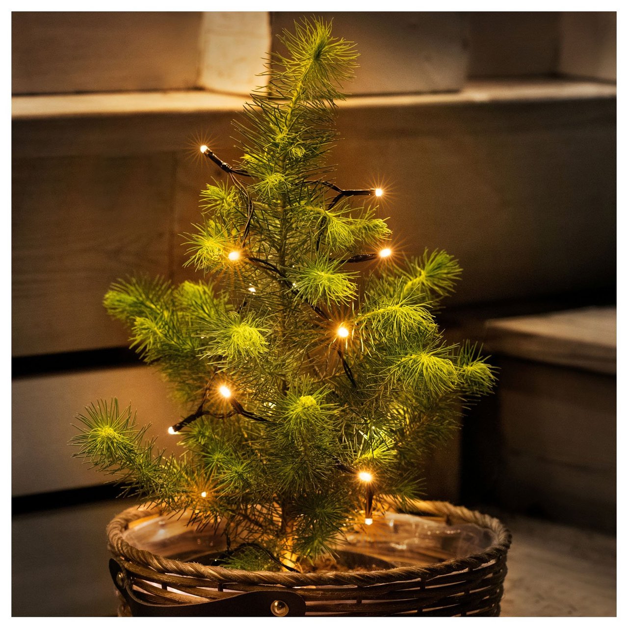 En liten grön gran dekorerad med en ljusslinga står utomhus i en kruka.