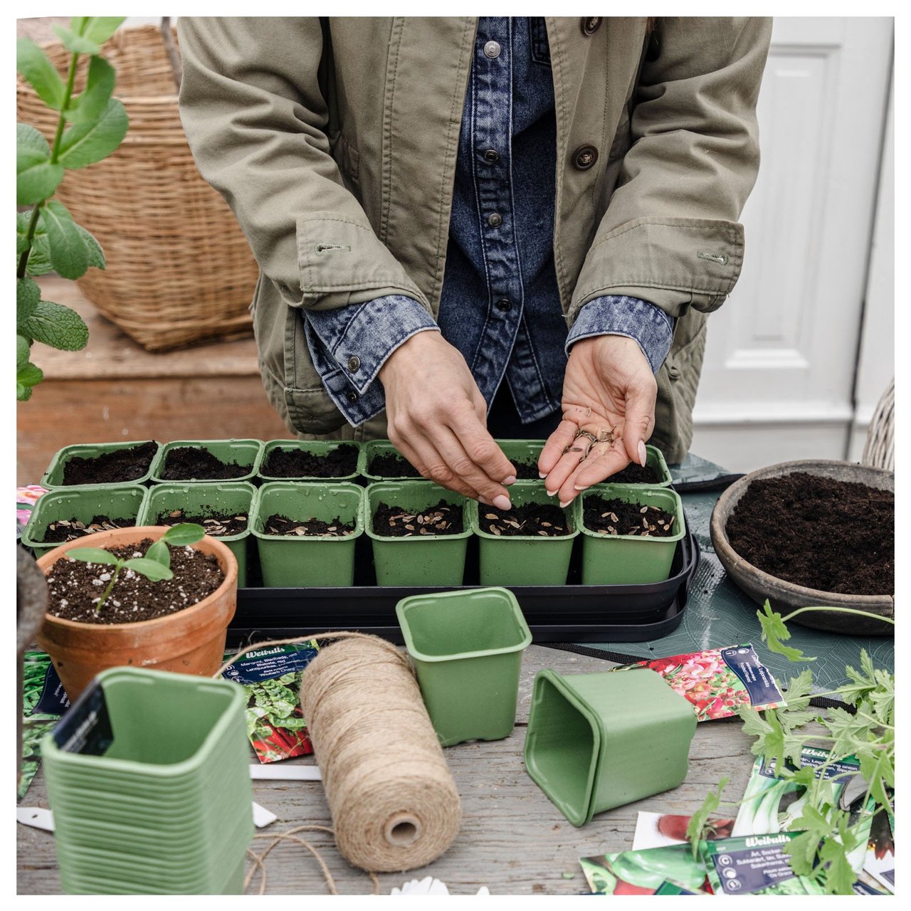 Influenseren Sofia sår frø i plastpotter i et minidrivhus.