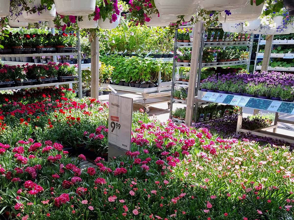 Myymälän kukkavalikoima