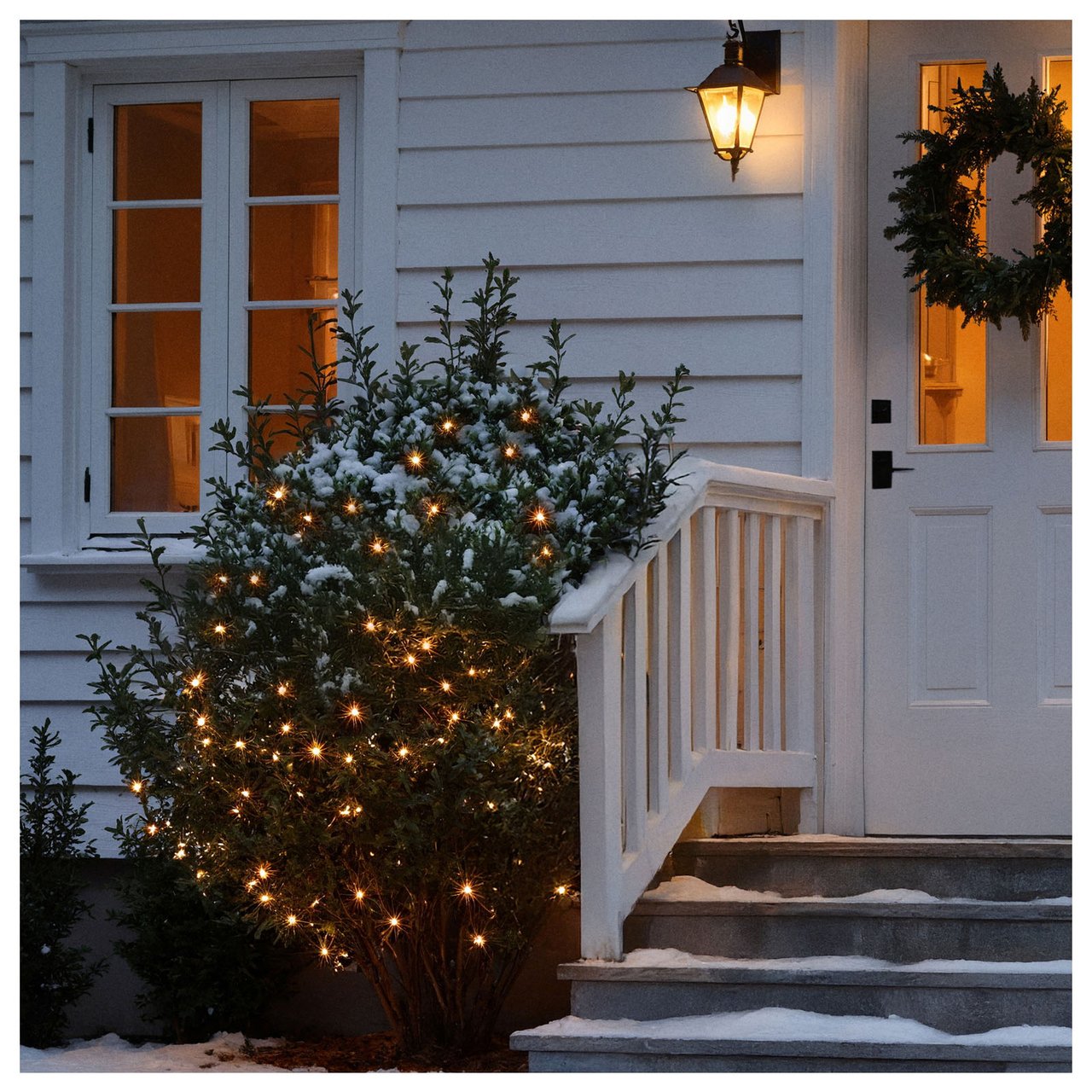 Buske med ljusslingor intill ytterdörr.