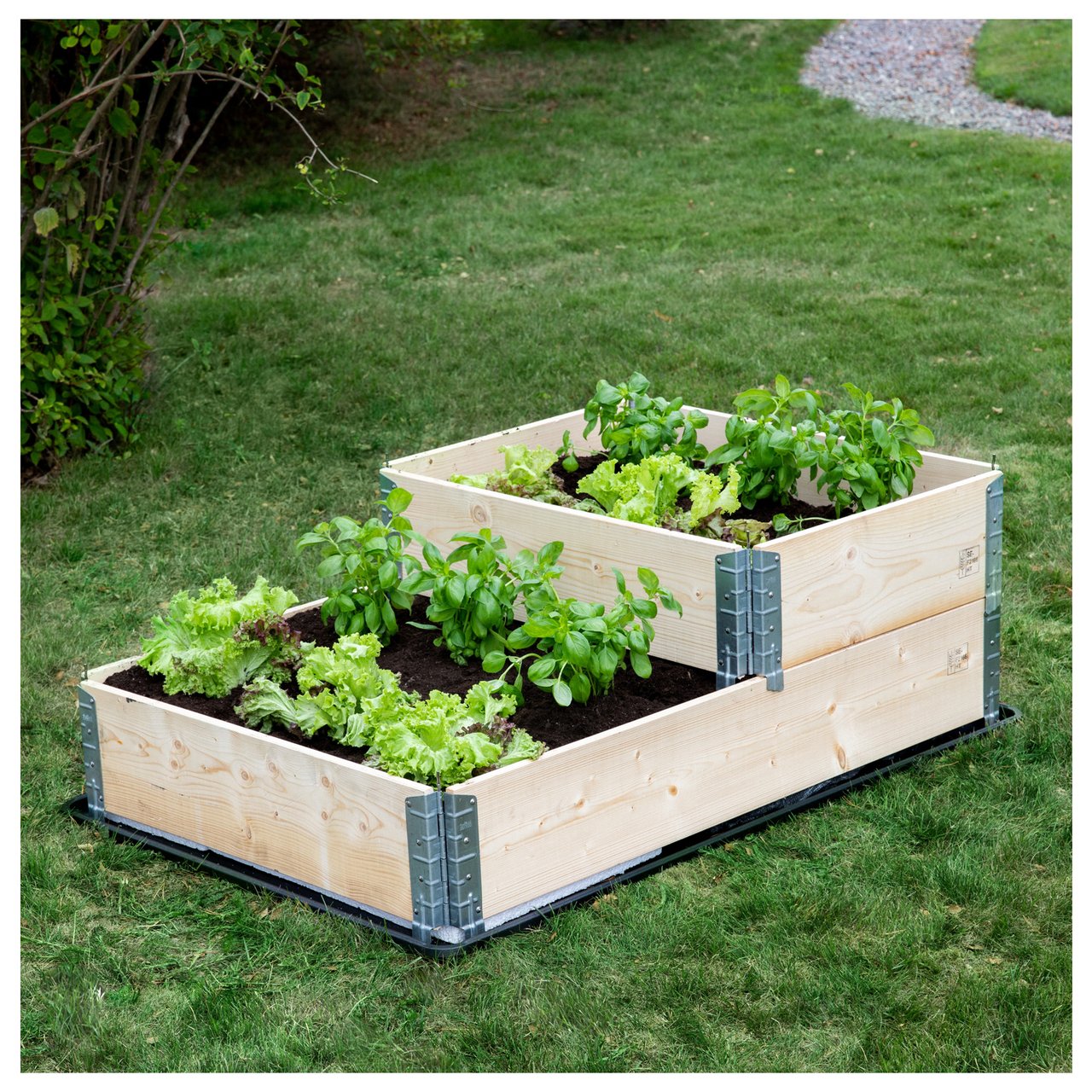 Trefargede pallekarmer med salat og urter på gresset.