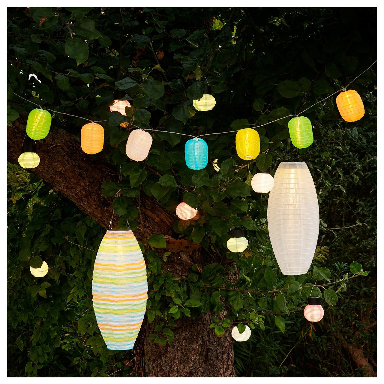 Två vita rislampor hänger i träd tillsammans med en solcellsslinga med mindre rislampor i olika kulörer.