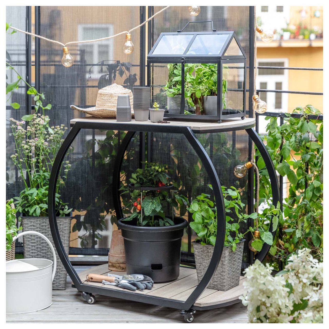 Schwarzer Servierwagen auf einem Balkon mit Topfpflanzen und Mini-Gewächshaus. Der Wagen steht auf einem üppig grünen Balkon.