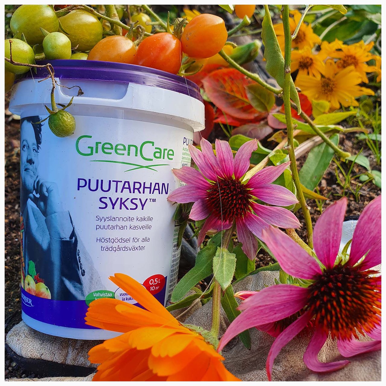 Puutarhakasvit valmiina lannoitukseen