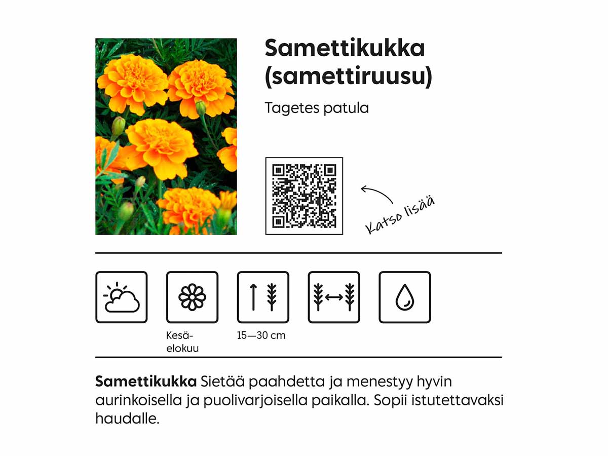 Kasvikylttiesimerkki