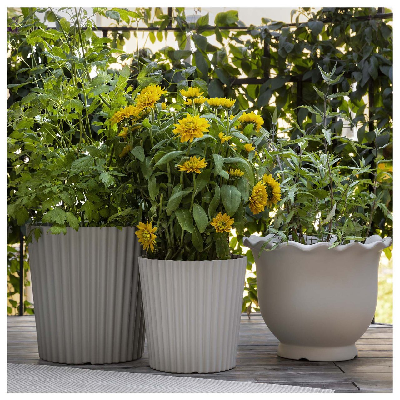 Ram oasen din inn med grønne planter Kan du dele hagen din inn i flere soner? Interiørdesigner Cecilia foreslår at vi kan ramme inn og skape en følelse av trivsel og velvære ved hjelp av blomster og grønne potteplanter. – Noen ganger er det bare fantasien som setter grenser, andre ganger er det plassen du har til rådighet. Hvis du vil skape flere oaser i hagen, bør du velge et naturlig sted i nærheten av en treklynge eller noen busker, slik at det ikke ser rotete ut. Der kan du plassere et bord å sette kaffekoppen på, eller en benk der du kan sitte og la tankene vandre på ettermiddagen. Store potteplanter forsterker følelsen av et samlet sted.