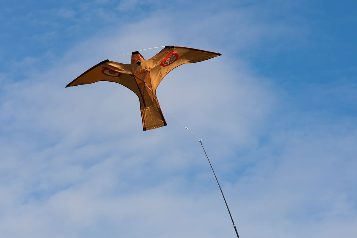 Pelätti puutarhassa