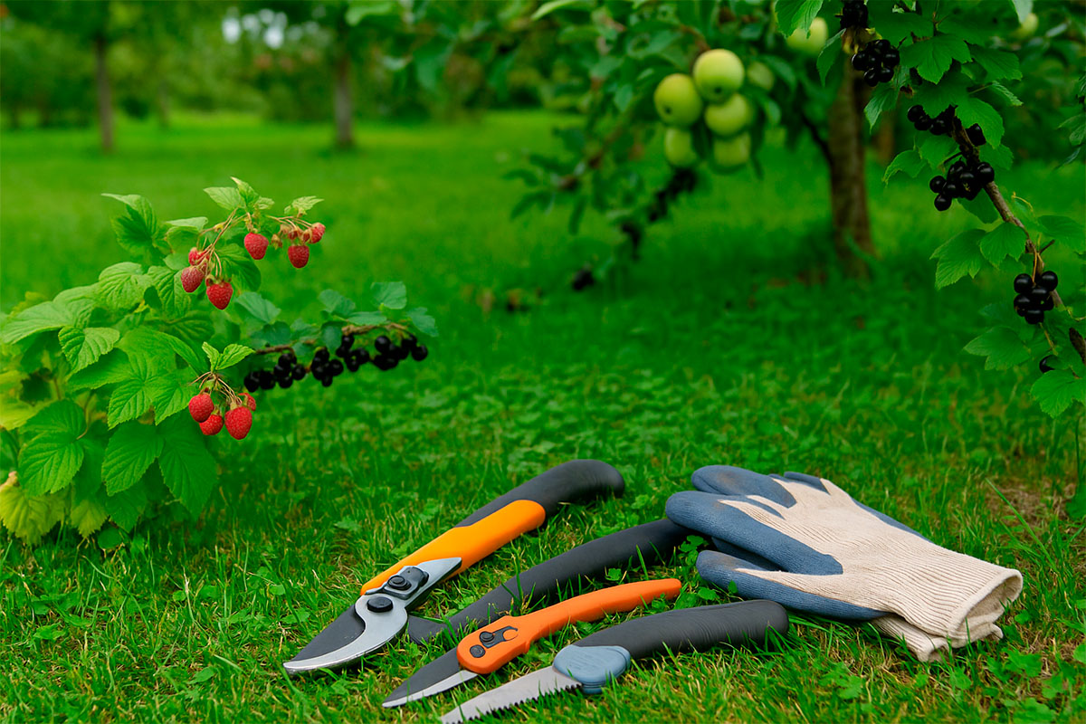 Syksyinen suomalainen puutarha ja esillä puutarhatyökaluja kuten oksasakset ja hanskat