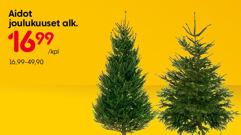 Aidot joulukuuset alk.