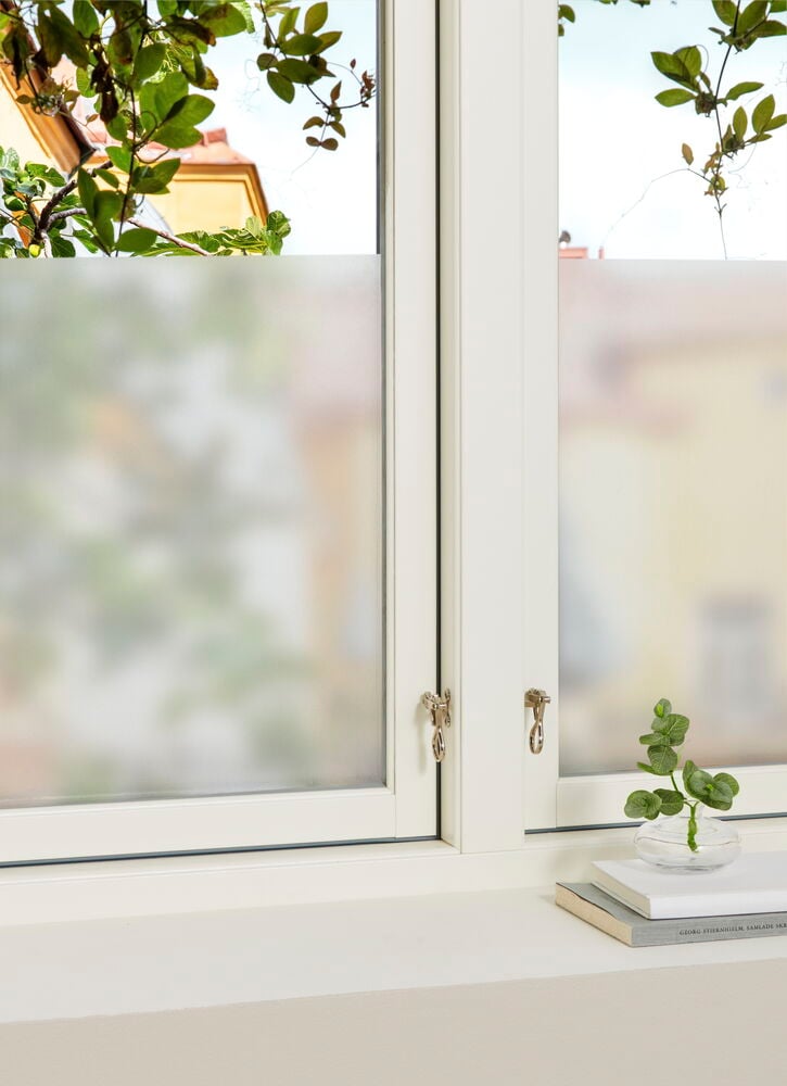 Ikkuna näköesteellä ja kasvi ikkunalaudalla.