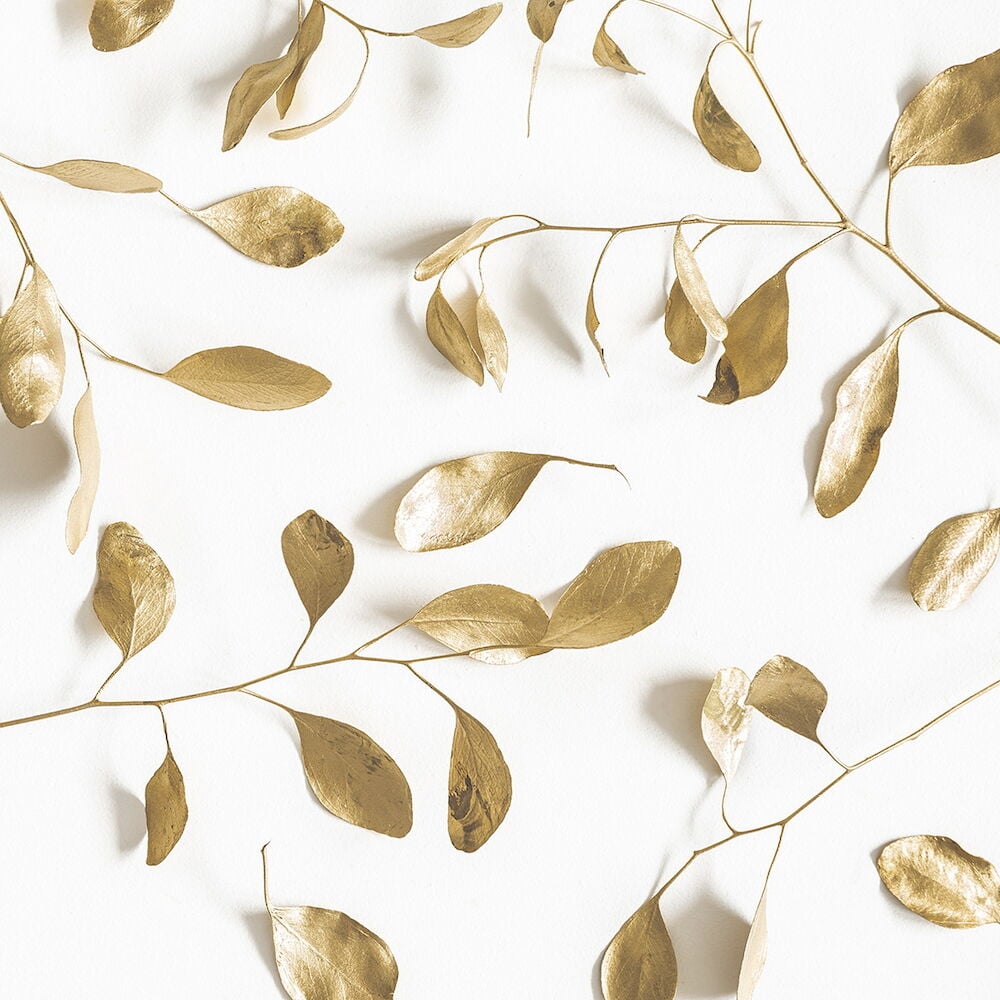 Kuivattuja oksia kultavärillä valkoisella taustalla.