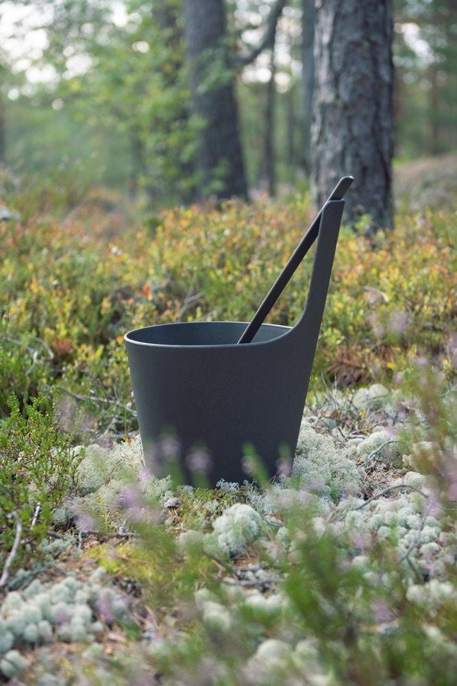 Musta saavi sangolla metsäympäristössä.