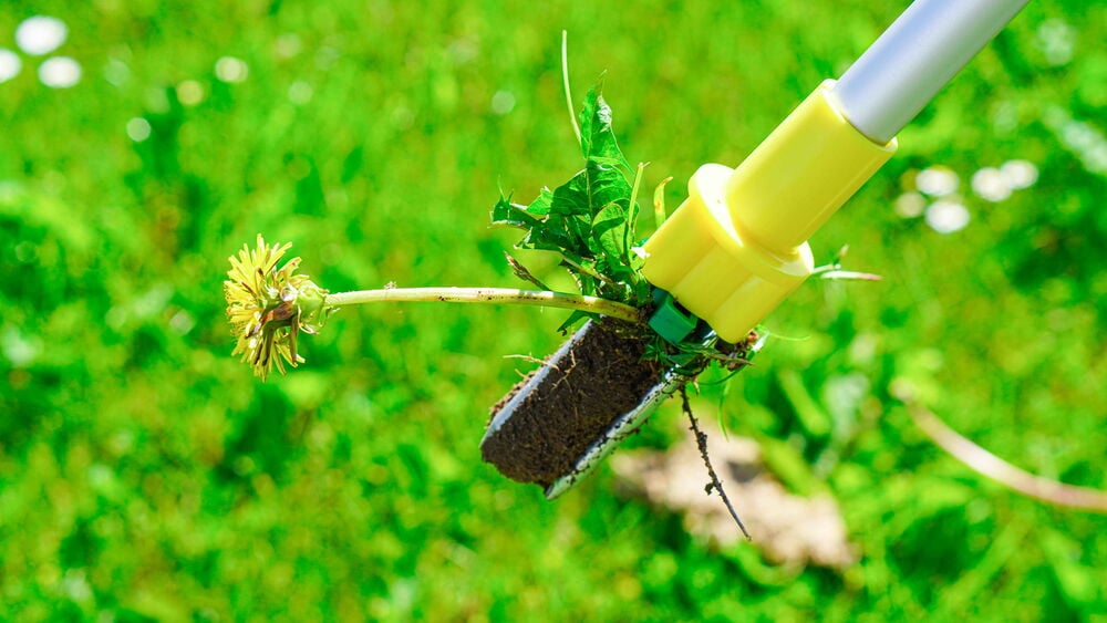 Keltainen rikkakasvien poistaja muovista ja alumiinista.