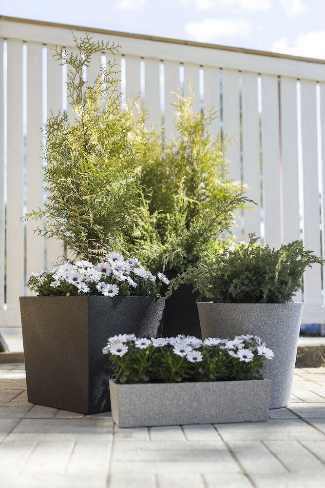 Musta eristävä ruukku, jossa on kukkia ja pensaita.