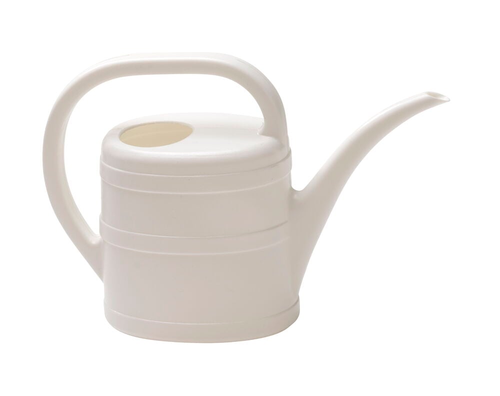 Valkoinen muovinen kastelukannu, jossa on kahva ja nokka.