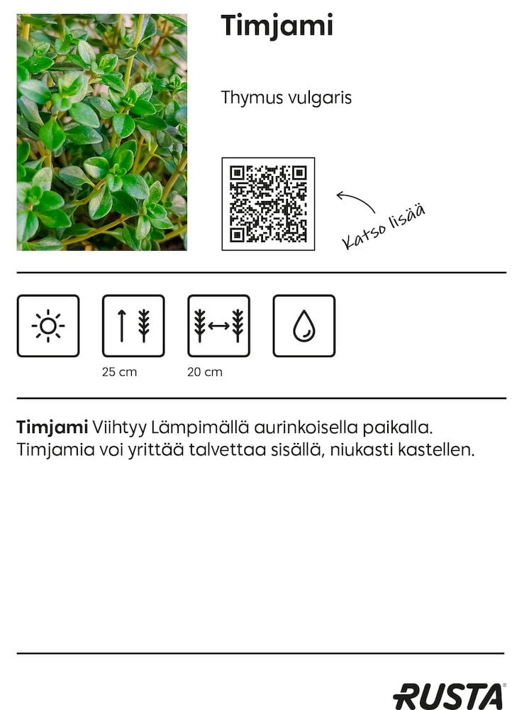 Lähikuva vihreistä timjaminlehdistä ulkona.