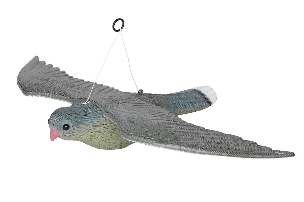 Muovihaukka levitetyillä siivillä lintujen pelottamiseen.