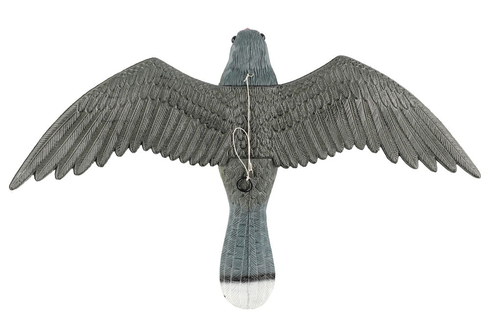 Muovinen haukan muotoinen lintupelätin.