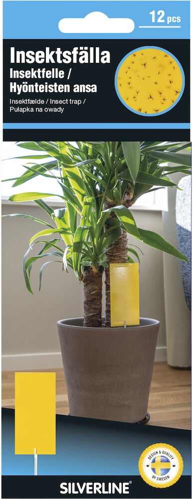 Keltainen liimapyydys sijoitettu sisäkasviin.