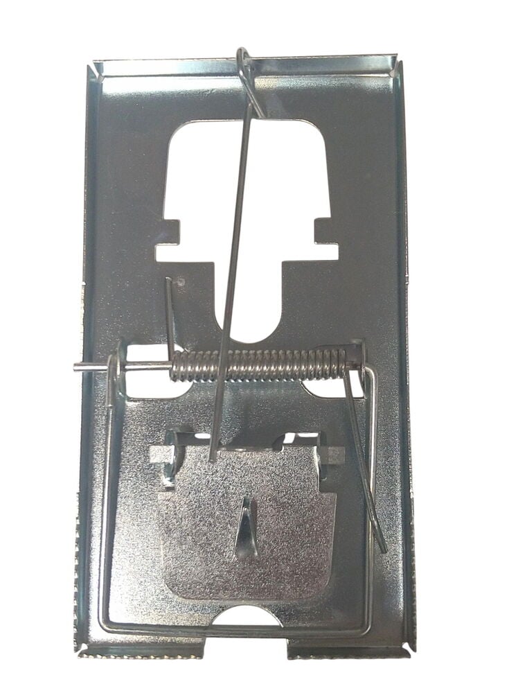 Hiirenloukku Ötökkä