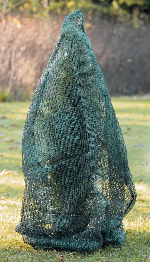 Vihreä verkko kasvin päälle suojaksi nurmikolle.