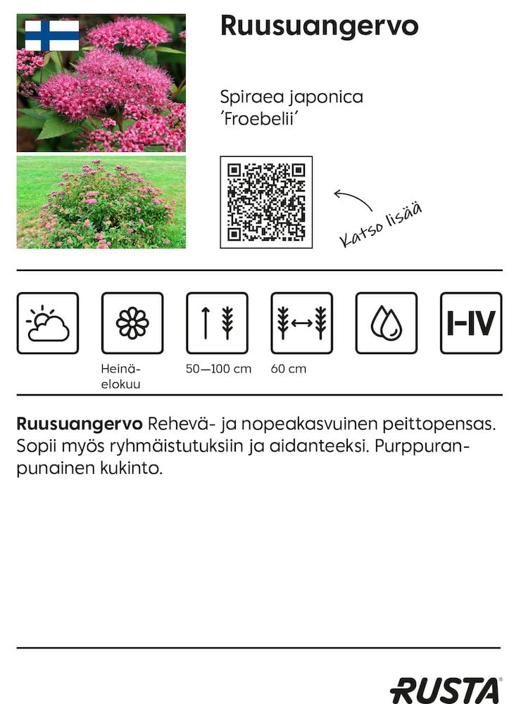 Pensas, jossa on tiheät vaaleanpunaiset kukat ja vihreät lehdet.