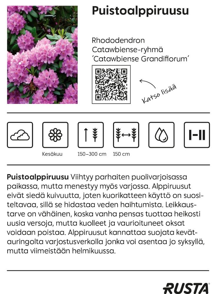 Vaaleanpunaiset kukat vihreässä pensaassa puutarhassa.