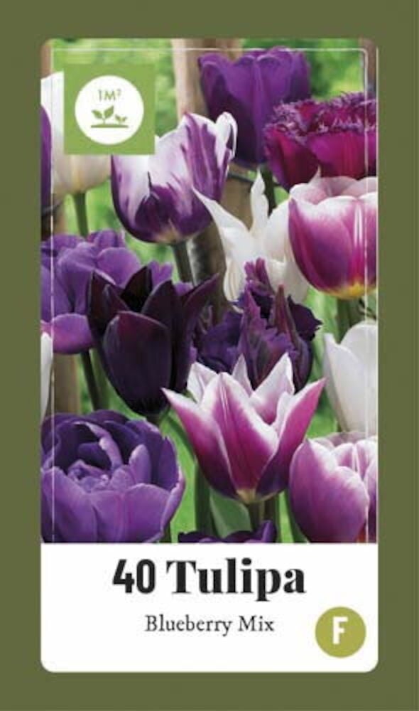 Tuotepakkaus 40 Tulipa Blueberry Mix -kukkasipuleille, jossa on erivärisiä violetteja ja valkoisia tulppaaneja.