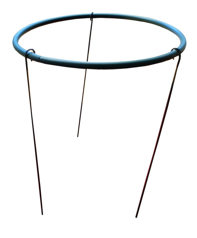 Musta pensastuki neljällä teräsjalalla kasvituedelle.