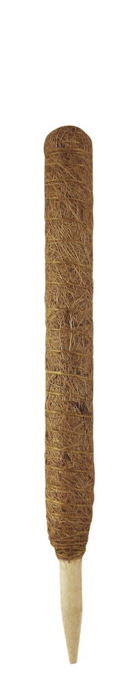 Vaaleanruskea tukikeppi, joka on peitetty kookoskuidulla.