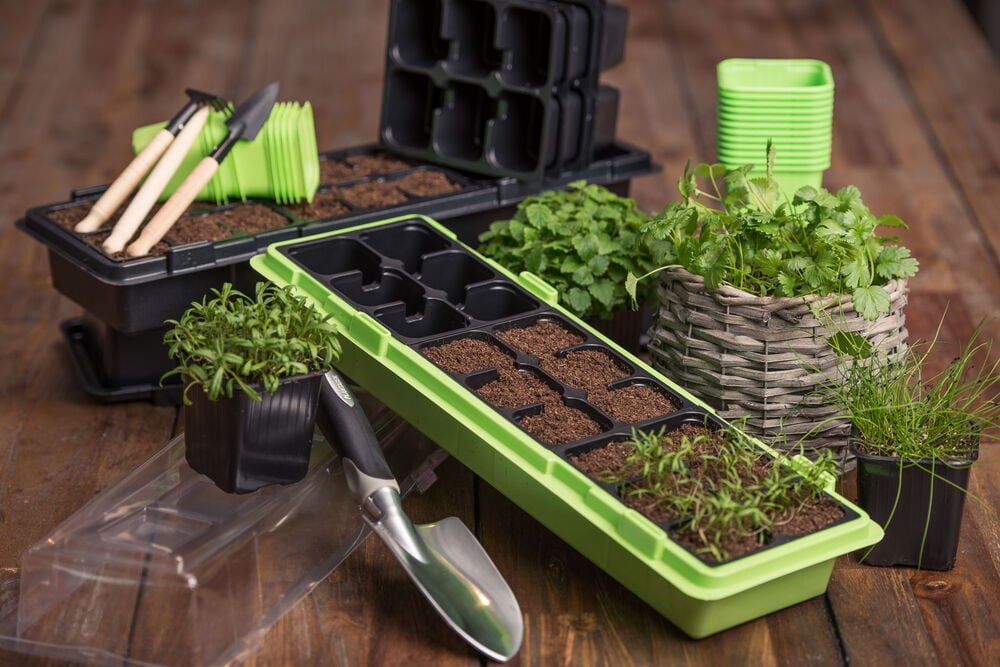 Limenvihreä minikasvihuone, jossa on maalla täytettyjä soluruukkuja.