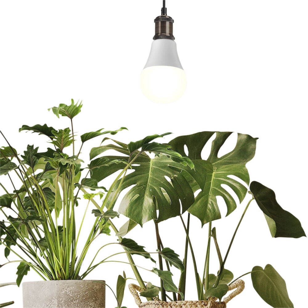 Roikkuva LED-lamppu vihreiden huonekasvien yläpuolella.