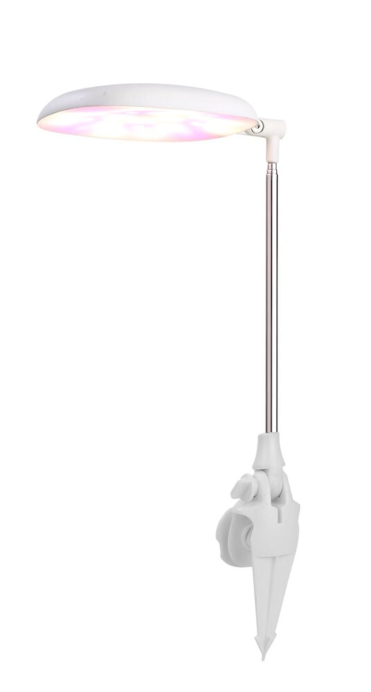 Säädettävä valkoinen LED-kasvilamppu, jossa on kiinnitysklipsi.