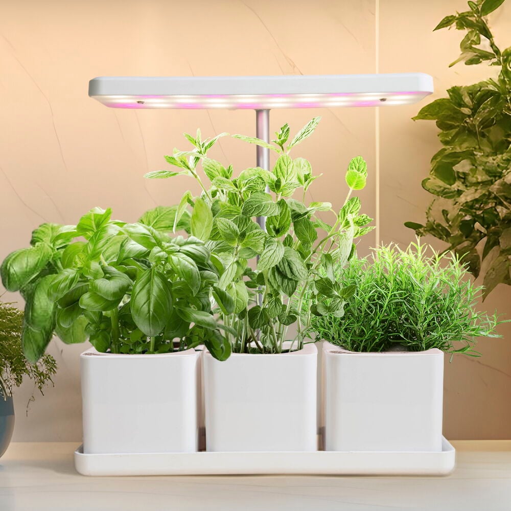 Kasvivalaisin kolmen viherkasvin ruukun yläpuolella.