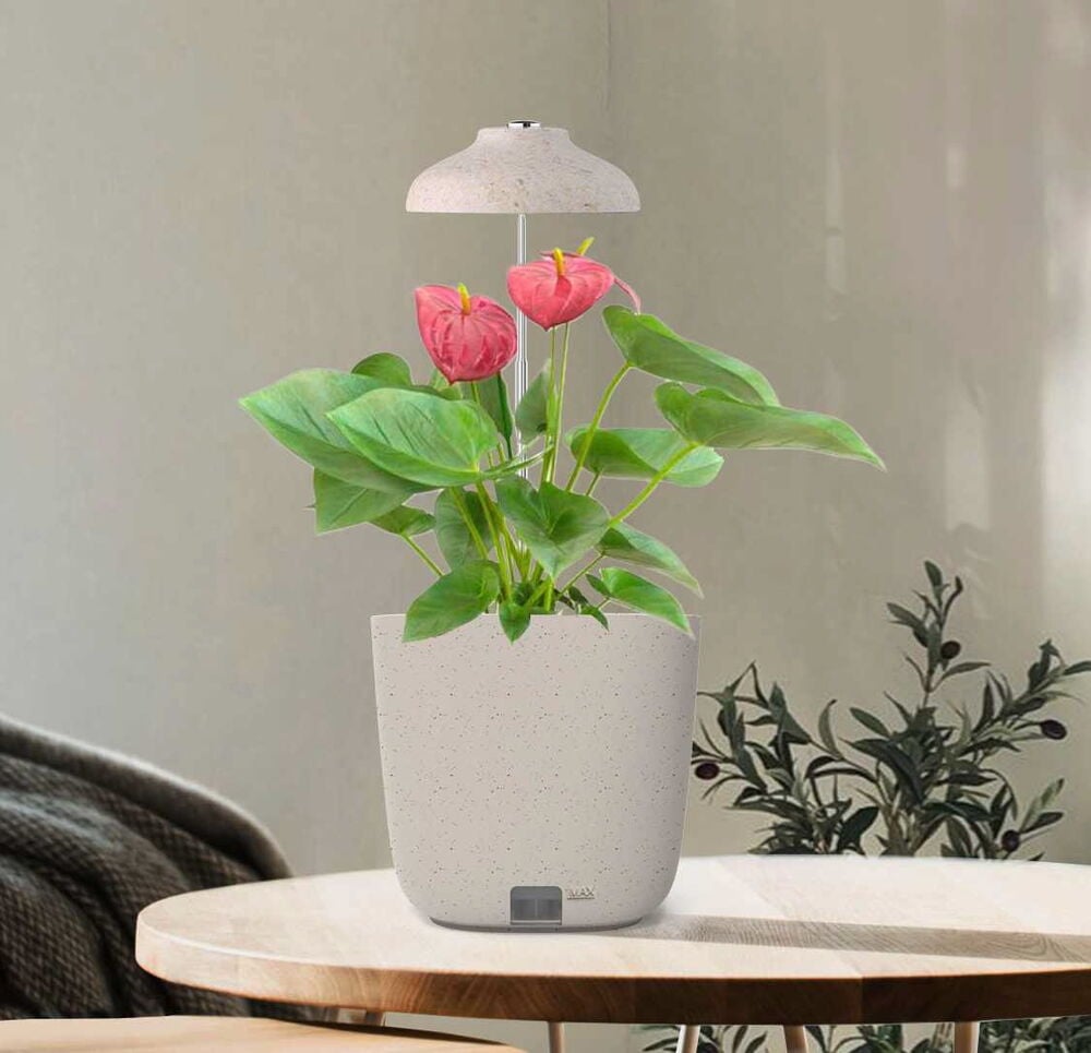 Yrttiruukku Strömsö - 2