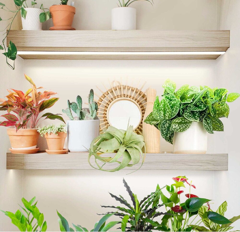 Led kasvivalonauha Strömsö - 3