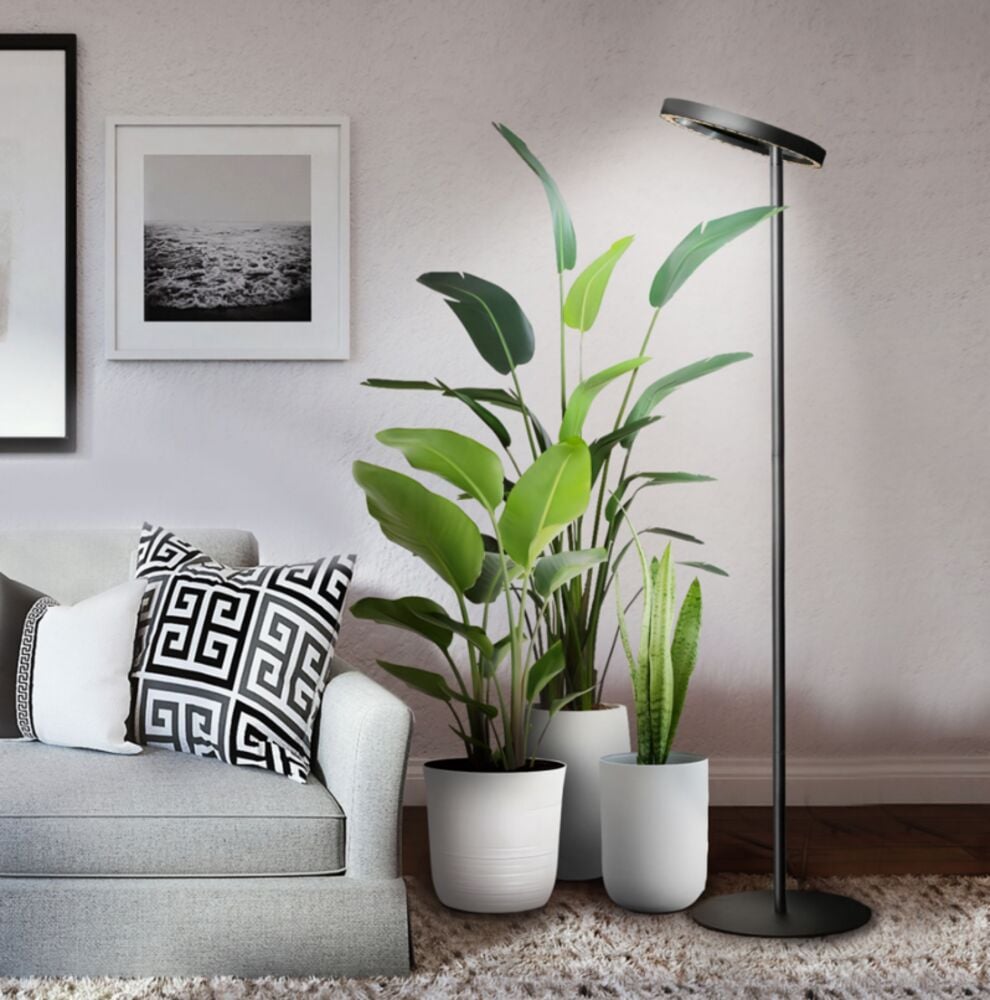 Lattiakasvivalo Strömsö - 2