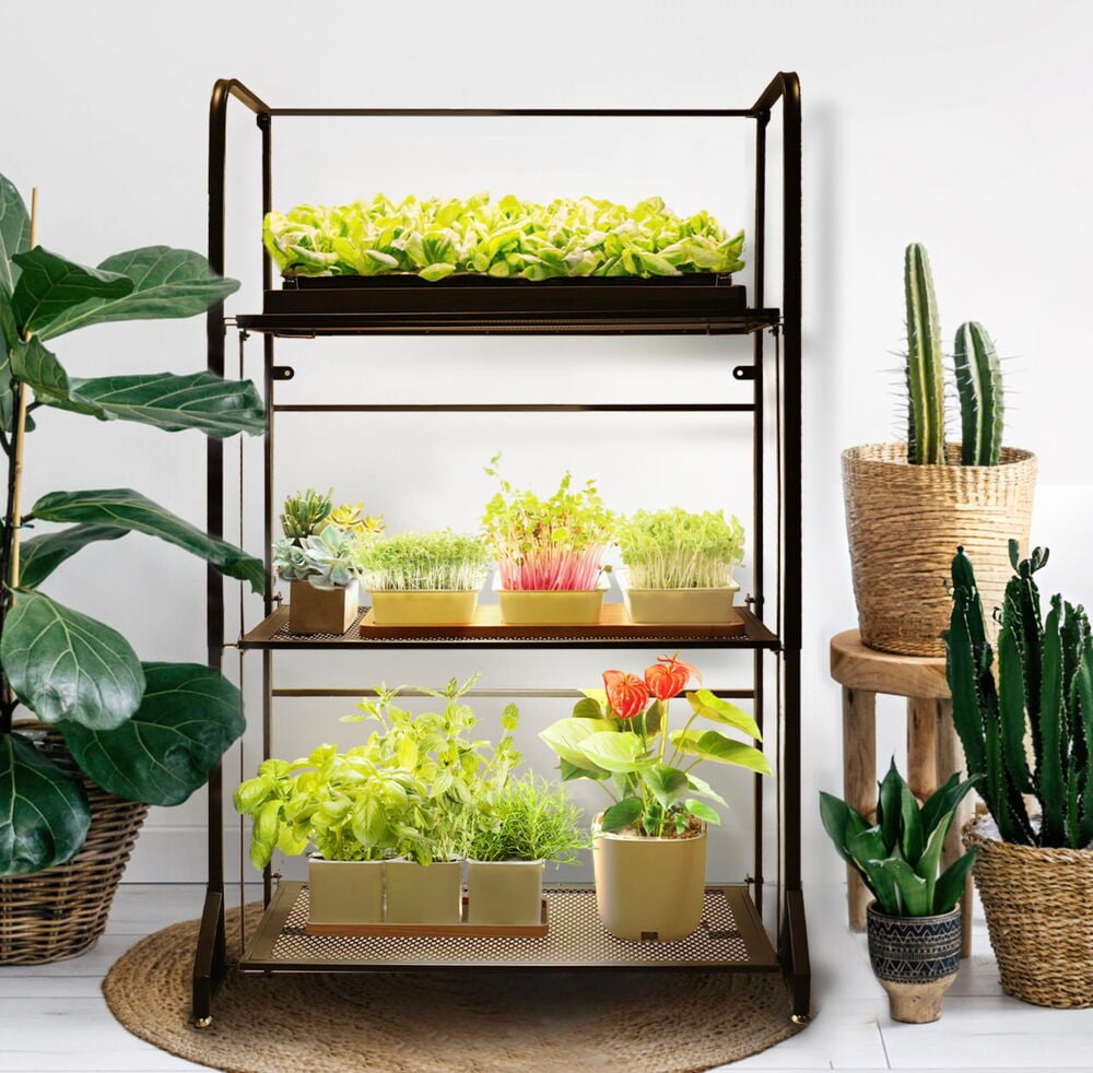 Kasvihylly 3-tasoa led-valolistoilla Strömsö